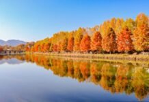 꼭 한 번 가봐야 할 인생 단풍 명소 5곳